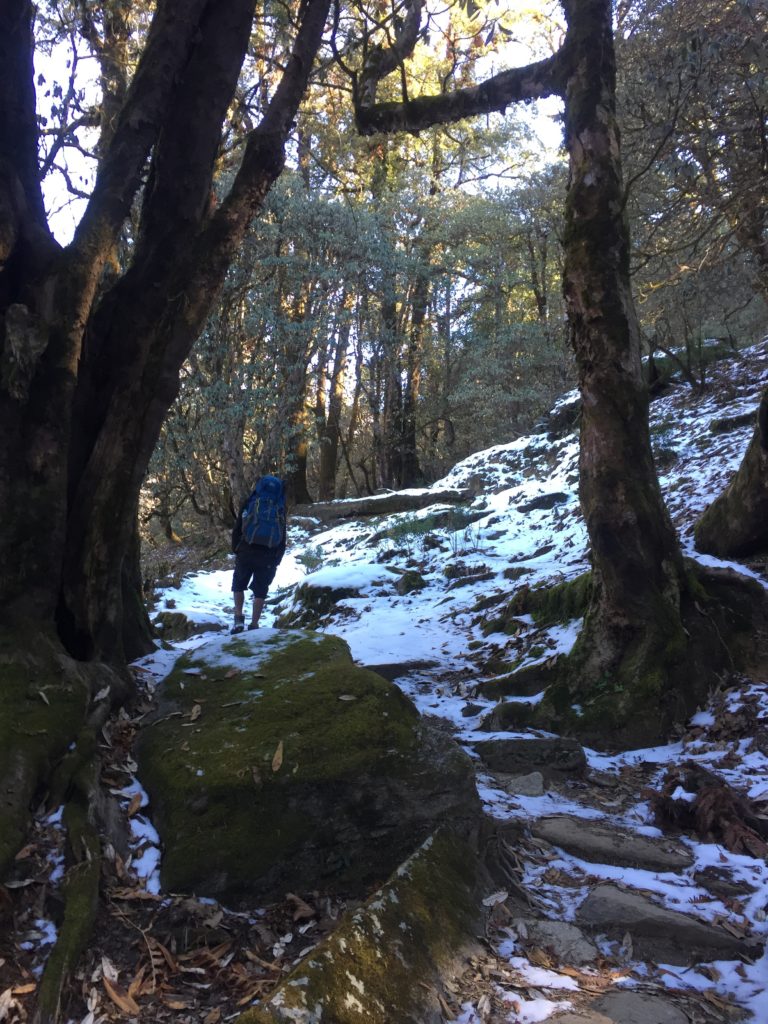 3 day himalayan trek