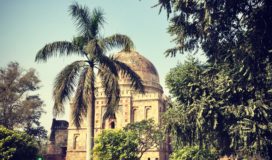 Lodi Gardens Delhi